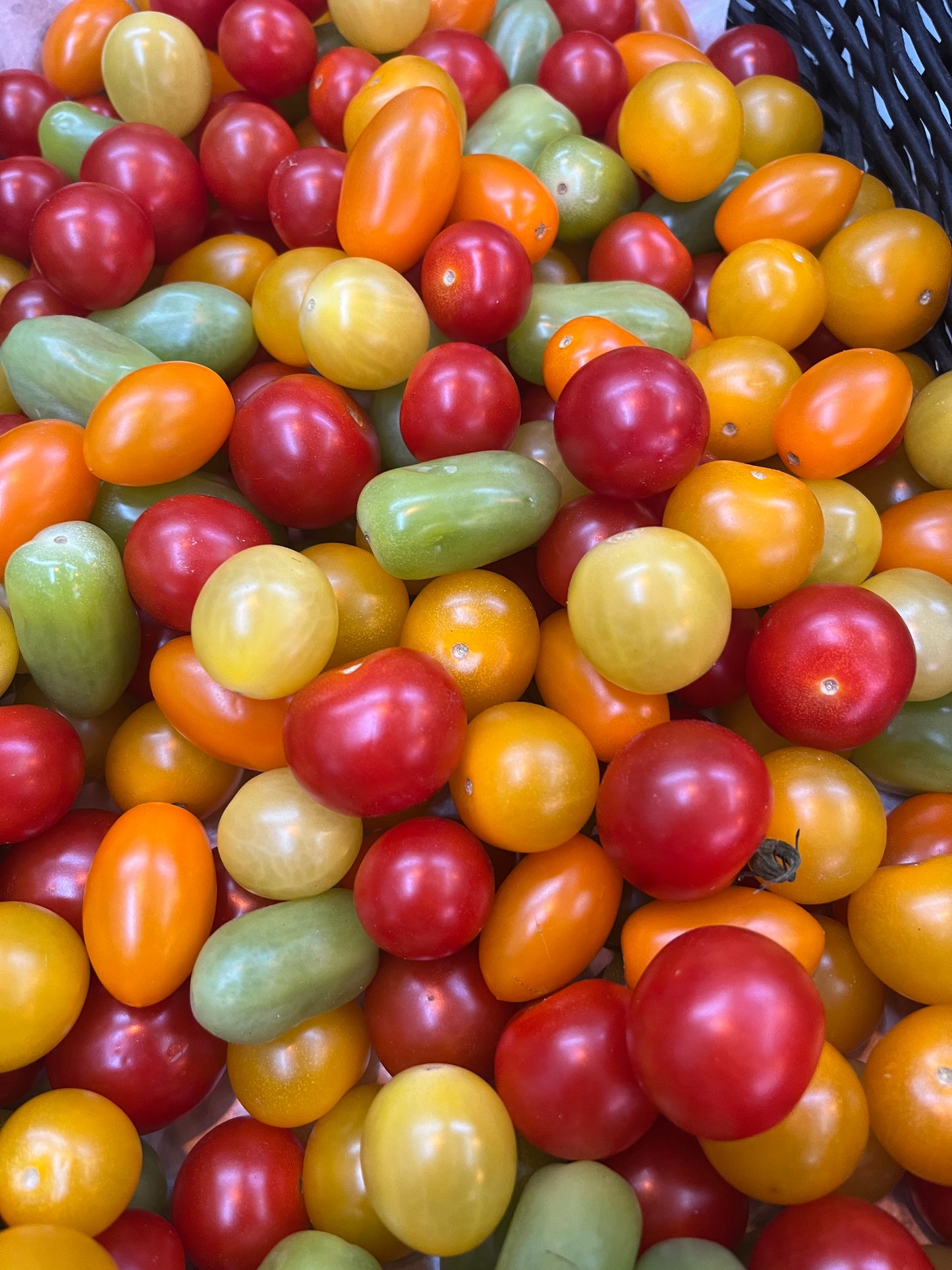 IOW Pick n Mix Tomatoes