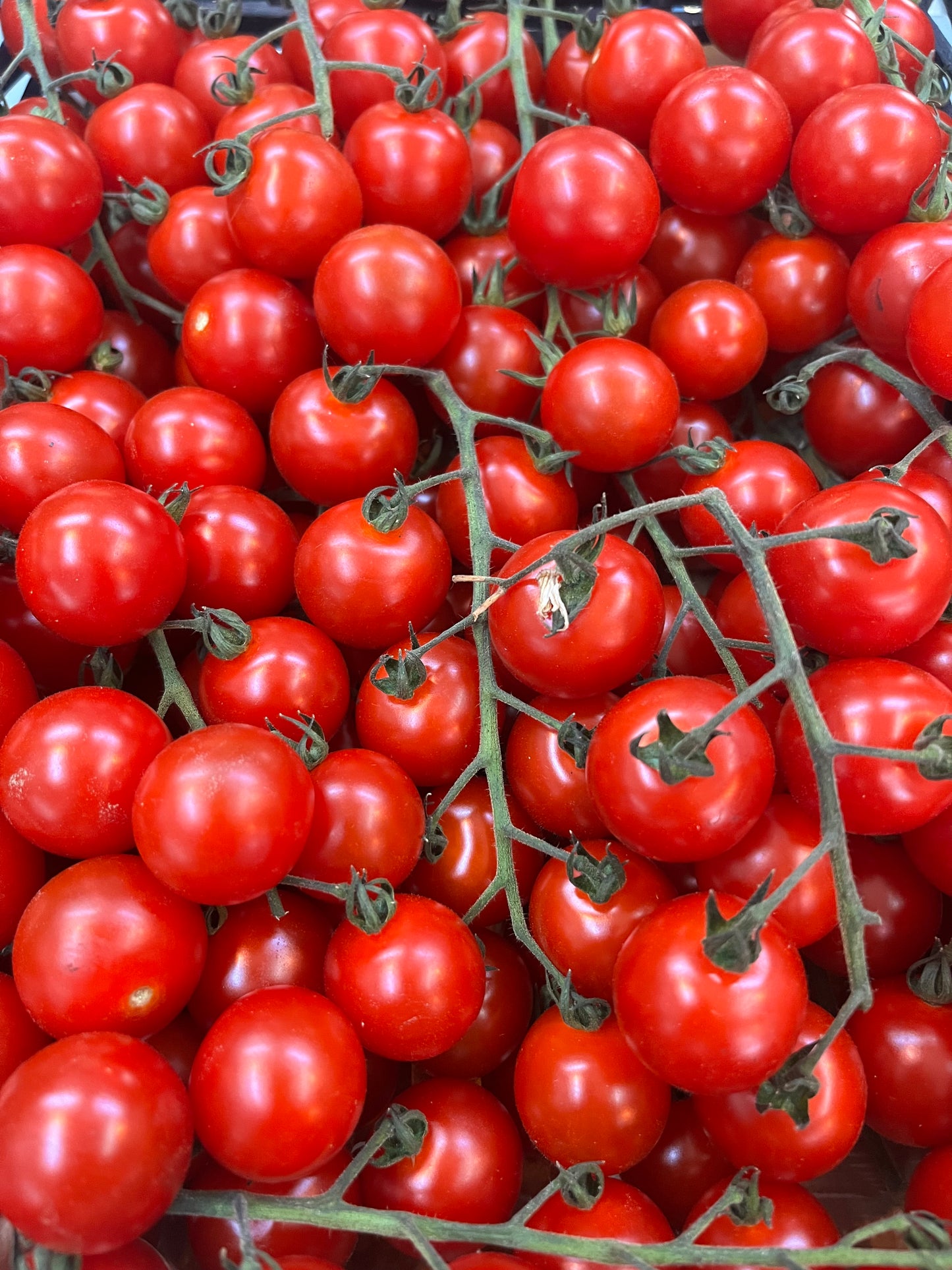 IOW Cherry Tomatoes
