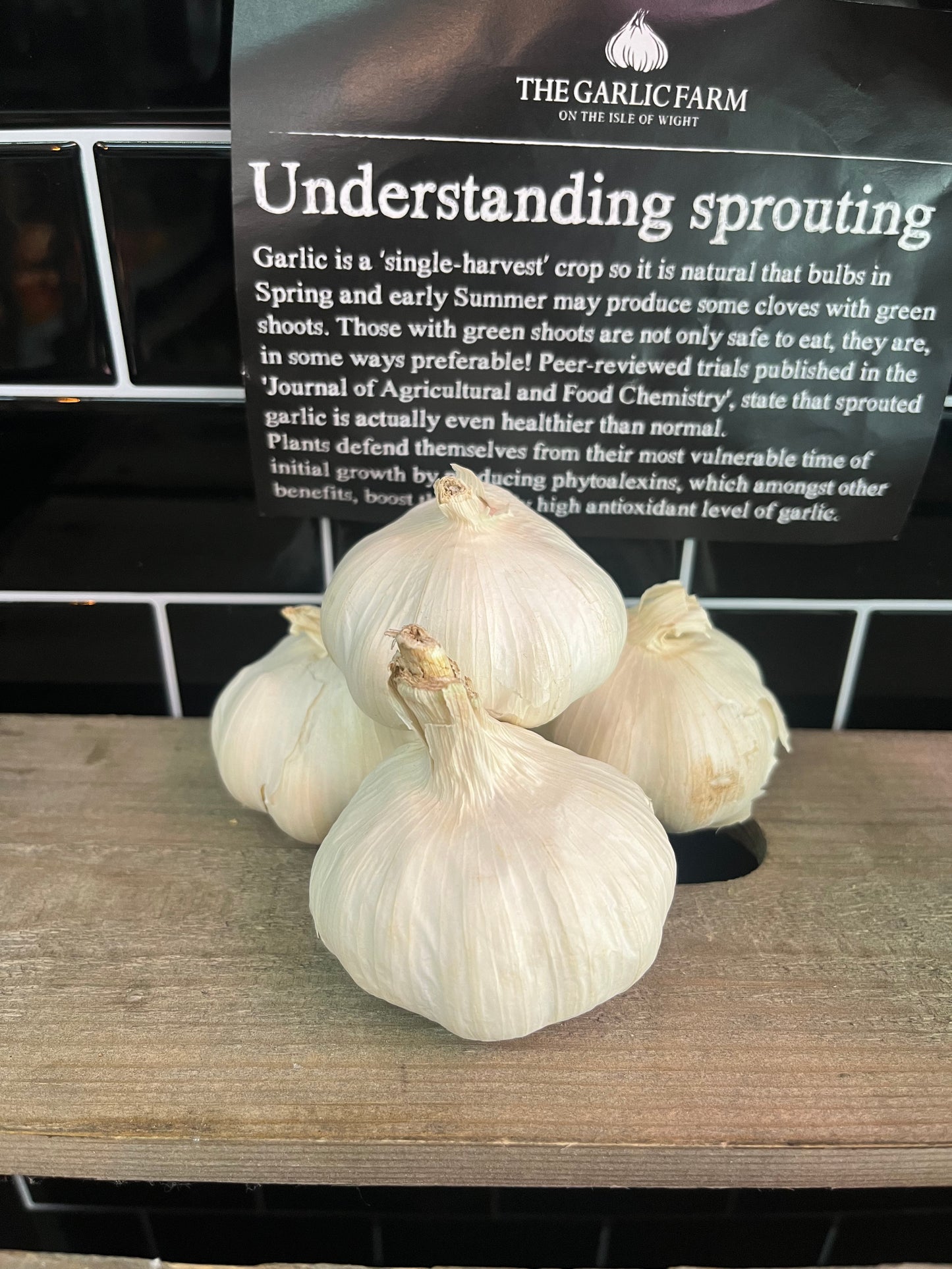 IOW Garlics
