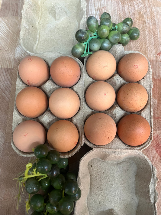 IOW Eggs