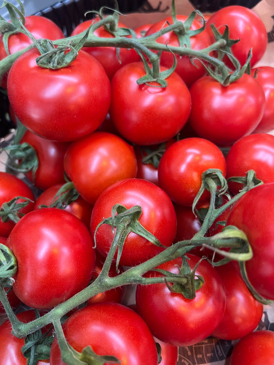 IOW Cocktail Tomatoes